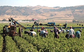 migrant-workers